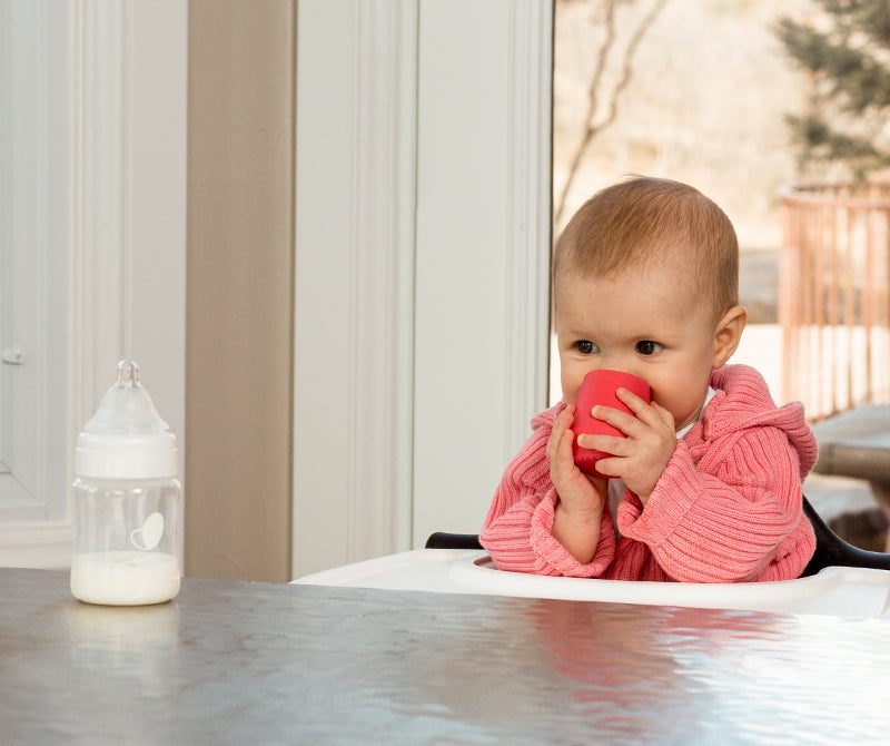 Transitioning from a Bottle to an Open Cup + Straw Cup