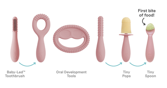 Preparing for Baby-Led Weaning (BLW) | Feeding Tips