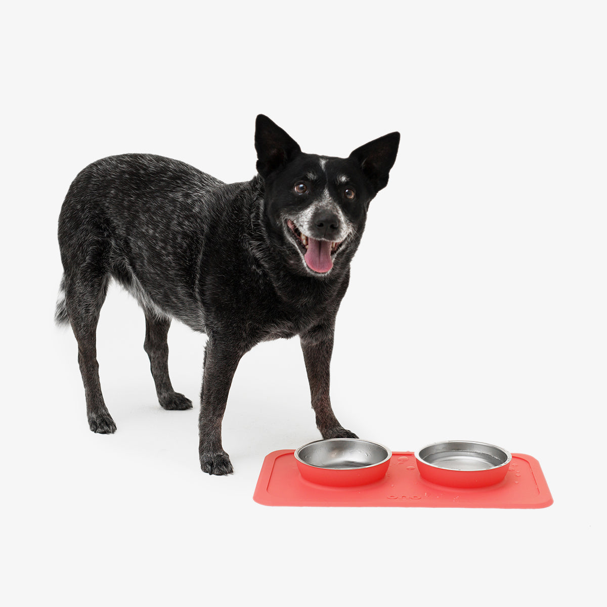 The Good Bowl (16 oz Double) in Coral by Ono Pet Products