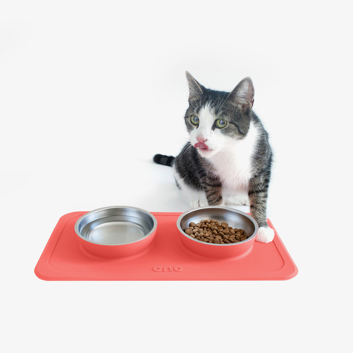 The Good Bowl (16 oz Double) in Coral by Ono Pet Products