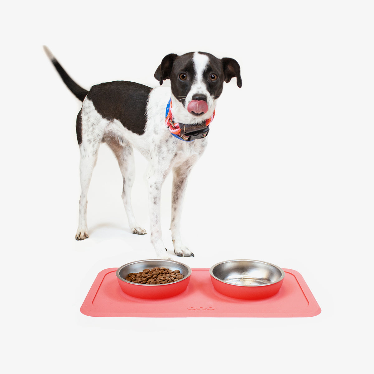 The Good Bowl (16 oz Double) in Coral by Ono Pet Products